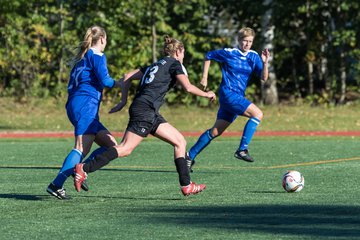 Bild 120 - Frauen SV Henstedt Ulzburg II - TSV Russee : Ergebnis: 6:0